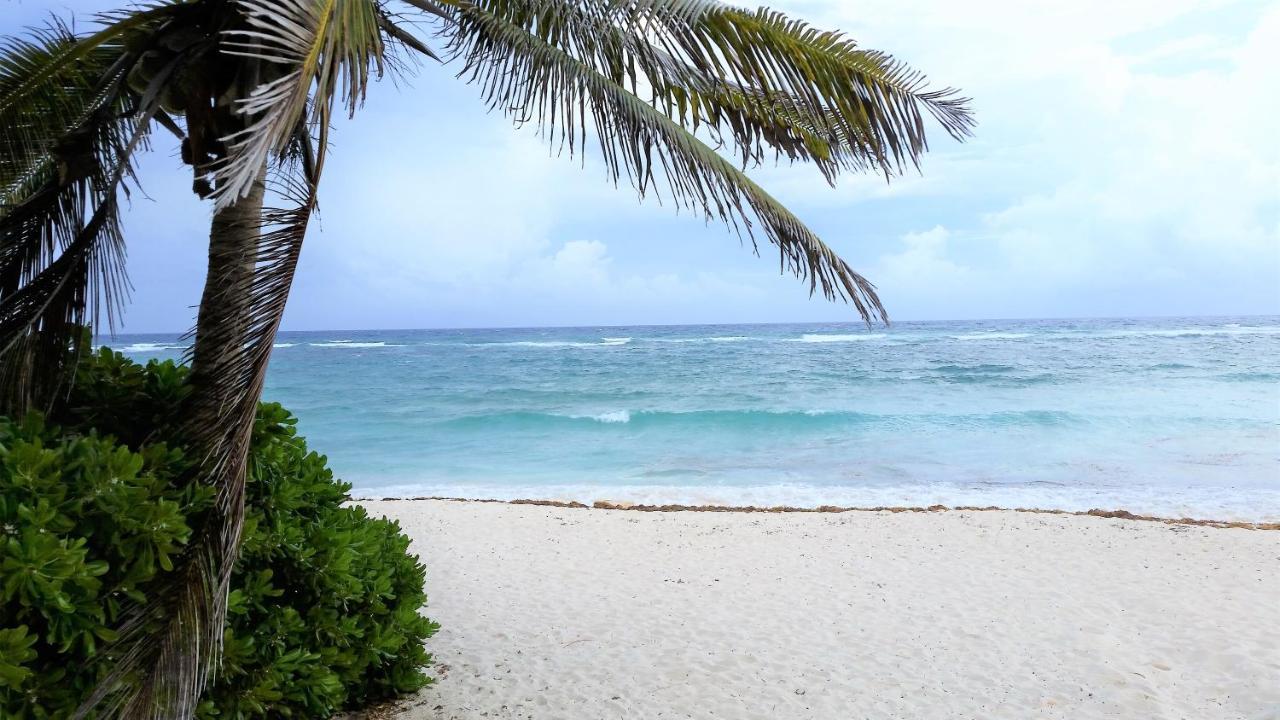 أكومال Riviera Maya Luxury Oceanfront Condo المظهر الخارجي الصورة